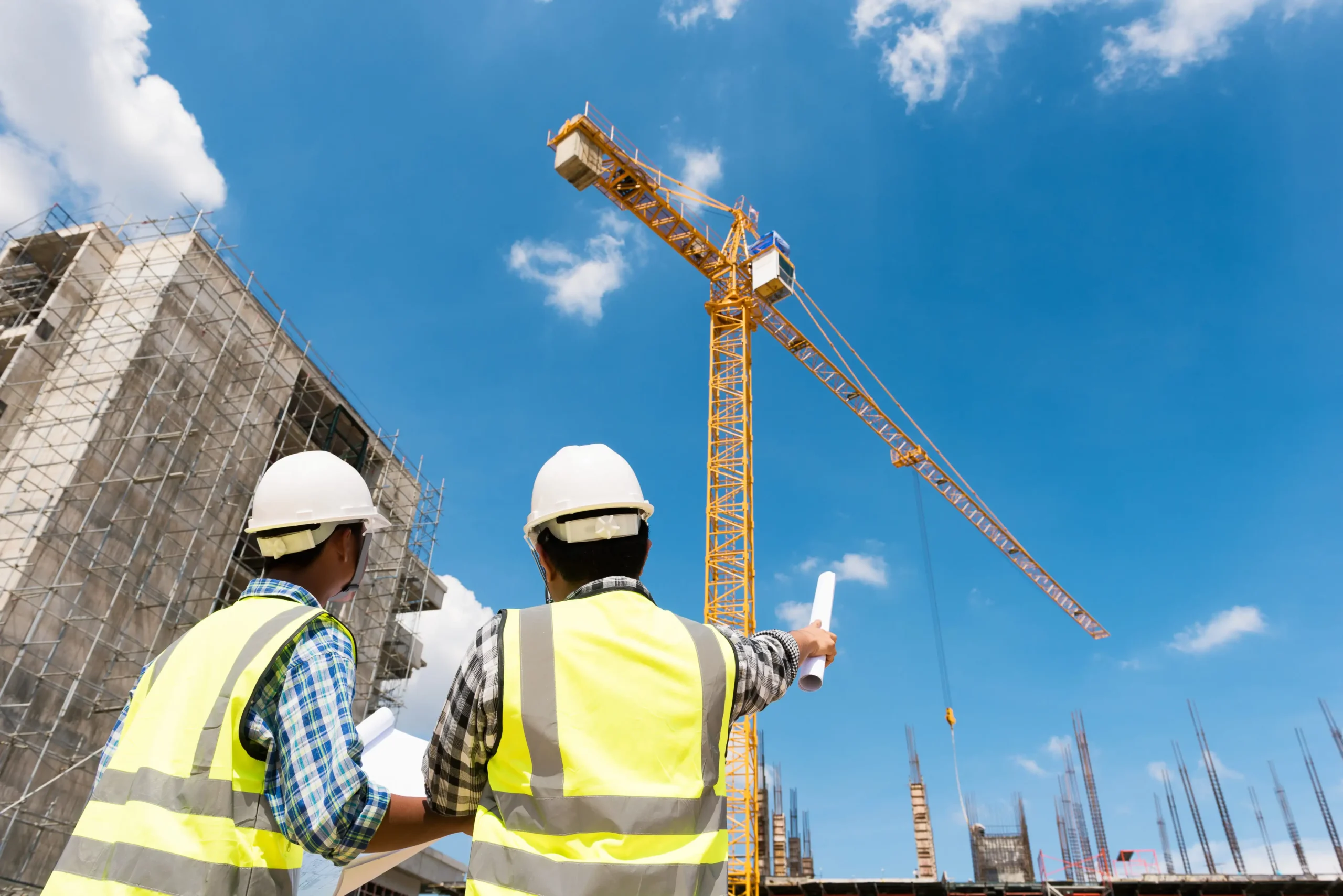 Civil Engineering Professional or Entrepreneur