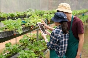 BIOENTREPRENEUR