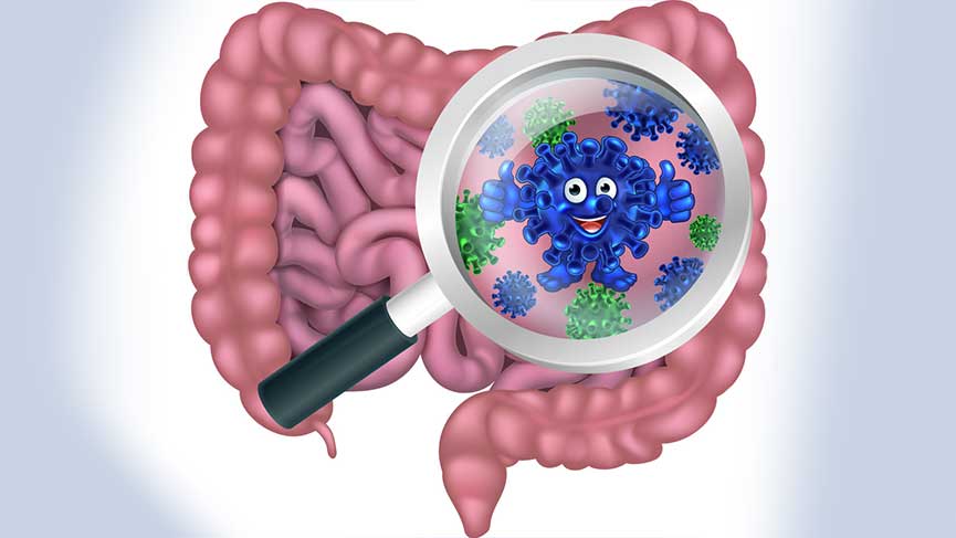 What Is Intestinal Flora?