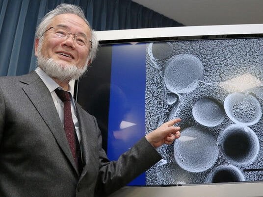 What Nobel Prize-Winning Study Says About Fasting