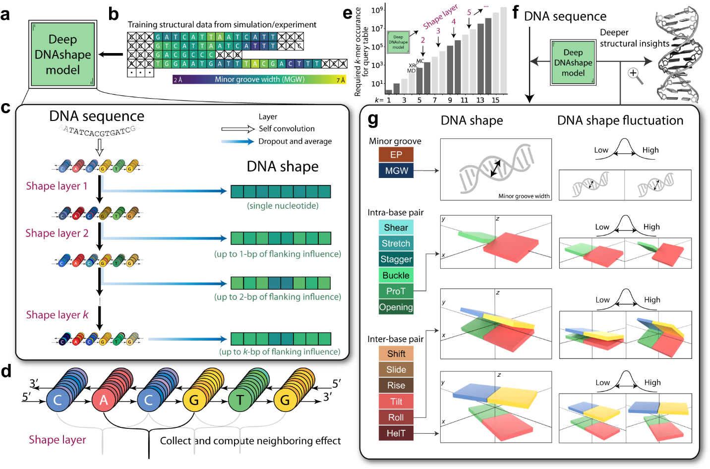 Predicting DNA structure using a deep learning method | Nature Communications