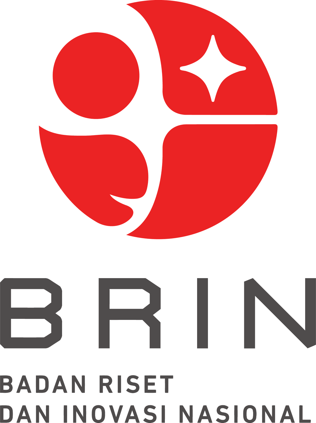 Logo-brin-png