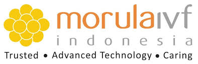 Morula IFV Jakarta