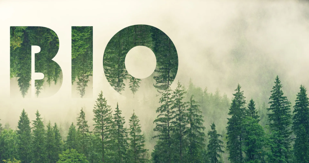 The image depicts a dense, misty forest with tall, green trees. AI-generated content may be incorrect.